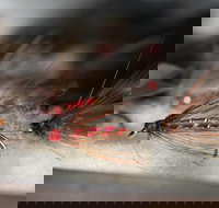 Australian Fly Fishing Museum - Events Australia