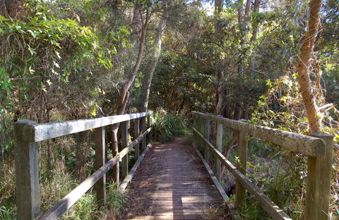 Awaba Bay Foreshore Walk - Events Australia 0