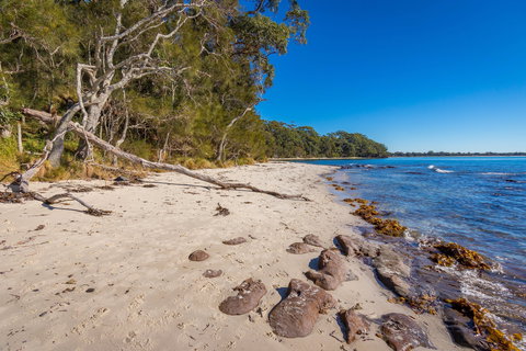 Barfleur Beach - Events Australia 0