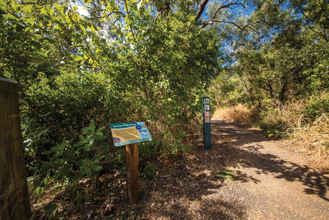 Bluff Point Circuit, Capricorn Coast National Park - Tourism Bookings 1