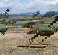 Boggy Creek Show - Events Australia