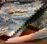 Canberra Reptile Zoo - Events Australia