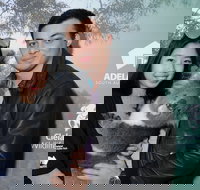 Cleland Wildlife Park - Koala Hold - Events Australia