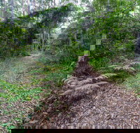 Double Wharf Trail - Events Australia