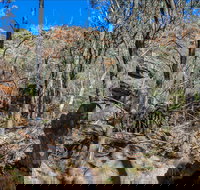 Eualdrie Walking Track - Tourism Bookings