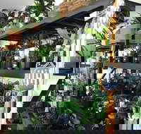 Fancy Plants - Events Australia