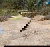 Finchley Cultural Walk - Events Australia