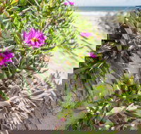 Fort Bribie - Events Australia