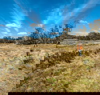 Goldseekers track - Events Australia