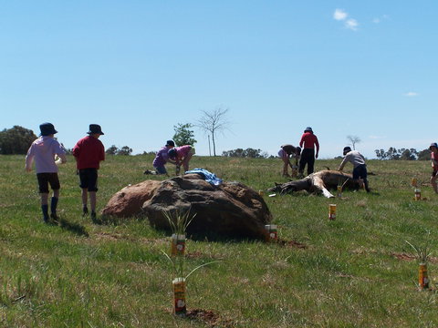 Jim Salmon  Wetland Education Site - Events Australia 0