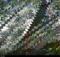 Leeuwin-Naturaliste National Park - Leeuwin - Events Australia