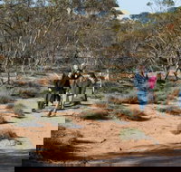 Mallee Stop walking track - Events Australia