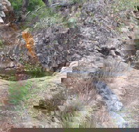 Mill-bullah Walking Track - Events Australia