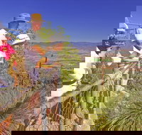 Moogerah Peaks National Park - Events Australia