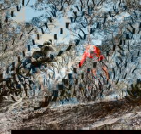 Mountain Bike Trails Deniliquin - Events Australia