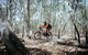 Mountain Bike Trails Deniliquin - thumb 2