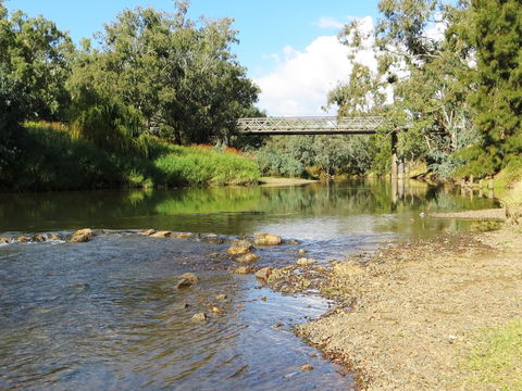 Namoi River And Woolshed Reserve - Events Australia 0