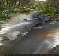 Nymboi-Binderay National Park - Events Australia