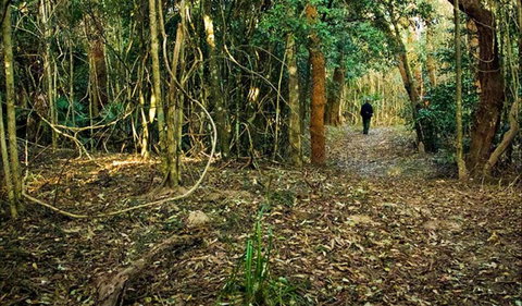 Sand Track Walk (north) - Events Australia 0