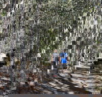 Six Mile Creek Bluff Lookout and Little White Rock Trails - Events Australia