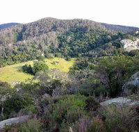 The Bellbird - Tourism Bookings