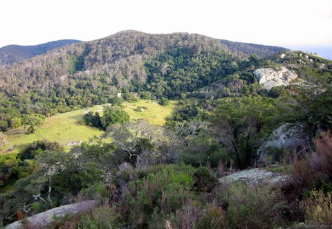 The Bellbird - Tourism Bookings 0