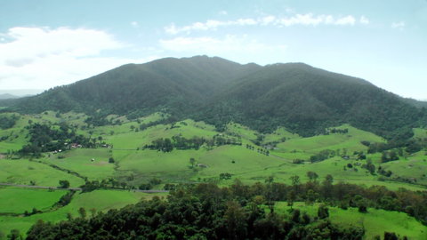 The Bellbird - Tourism Bookings 1
