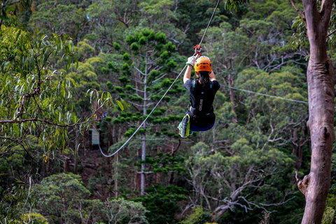 Thunderbird Park ® - Tamborine Mountain, Gold Coast Region - Events Australia 2