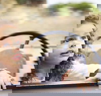 Toddler Thursdays at Werribee Open Range Zoo - Accommodation Europe