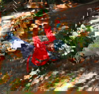 Trees Adventure - Glen Harrow Park - Events Australia