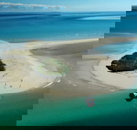 Turtle Discovery - Events Australia