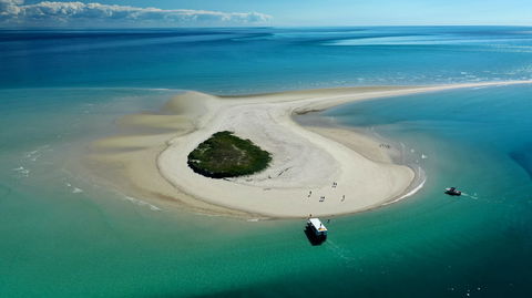 Turtle Discovery - Events Australia 0