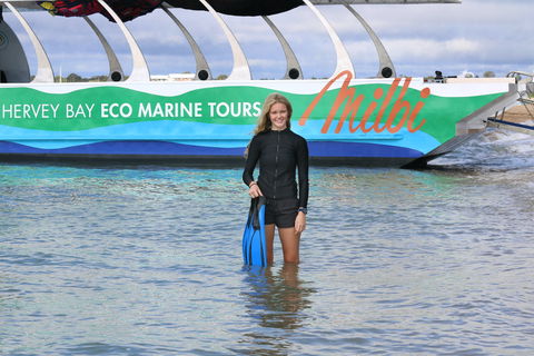 Turtle Discovery - Events Australia 1