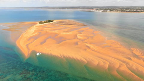 Turtle Discovery - Events Australia 2