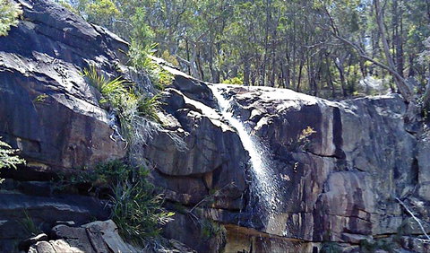 Ugly Corner Falls Walking Track - Events Australia 0