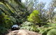 Wadbilliga Road Drive - thumb 0