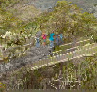 Walpole Wilderness Discovery Centre - Events Australia
