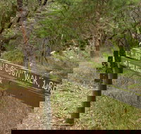 Waterfall Gully - Kings Falls Circuit Walk - Events Australia