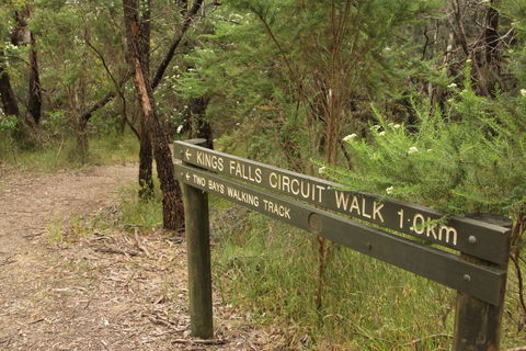 Waterfall Gully - Kings Falls Circuit Walk - Tourism Bookings 0