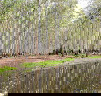 Wonga Wetlands - Events Australia