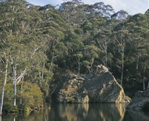 Woodford - Events Australia 0