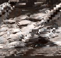 Bathurst Goldfields Education and Function Centre - Events Australia