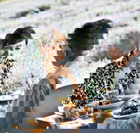 Boonah - Events Australia