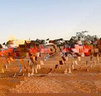 Broken Hill Camels - Events Australia