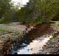 Budawang National Park - Events Australia