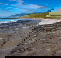 Cat and Kitten Beach - Events Australia