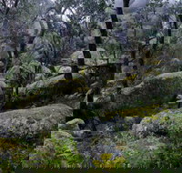 Cathedral Rock Track - Events Australia