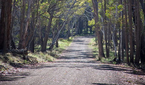 Coolah Tops National Park - Events Australia 0
