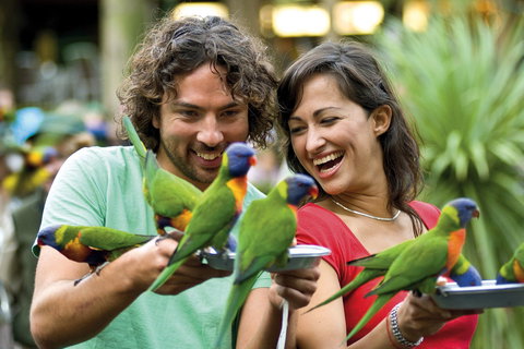 Currumbin Wildlife Sanctuary - Accommodation Europe 0