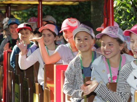 Currumbin Wildlife Sanctuary - Accommodation Europe 1